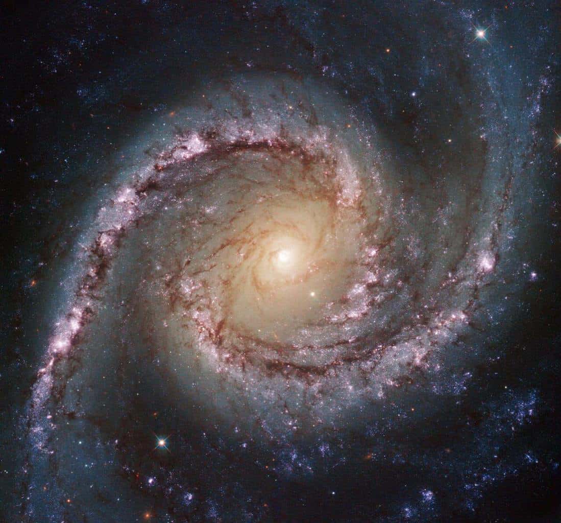Hubble ile NGC 1566 isimli galaksinin görünümü