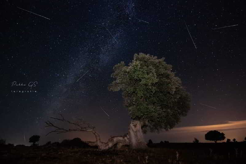 Perseid 2019 Fotoğrafları 9