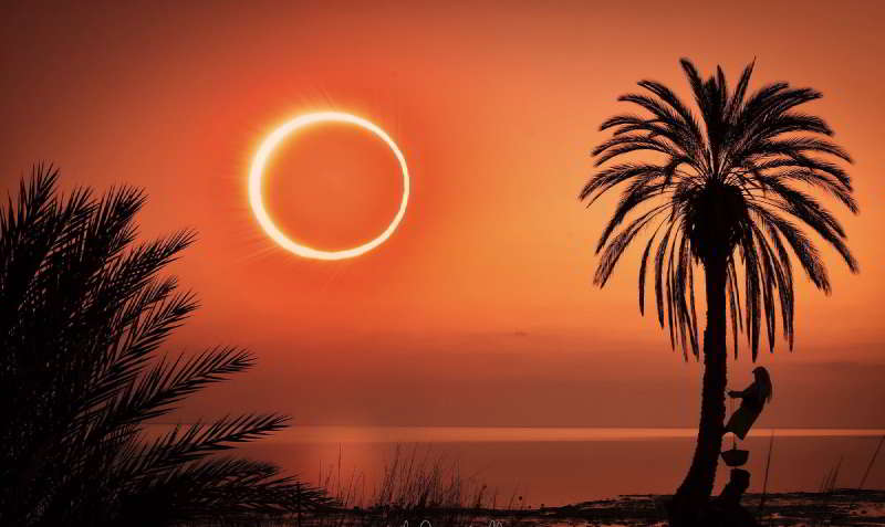26 Aralık 2019 Güneş Tutulması Fotoğrafları - 4