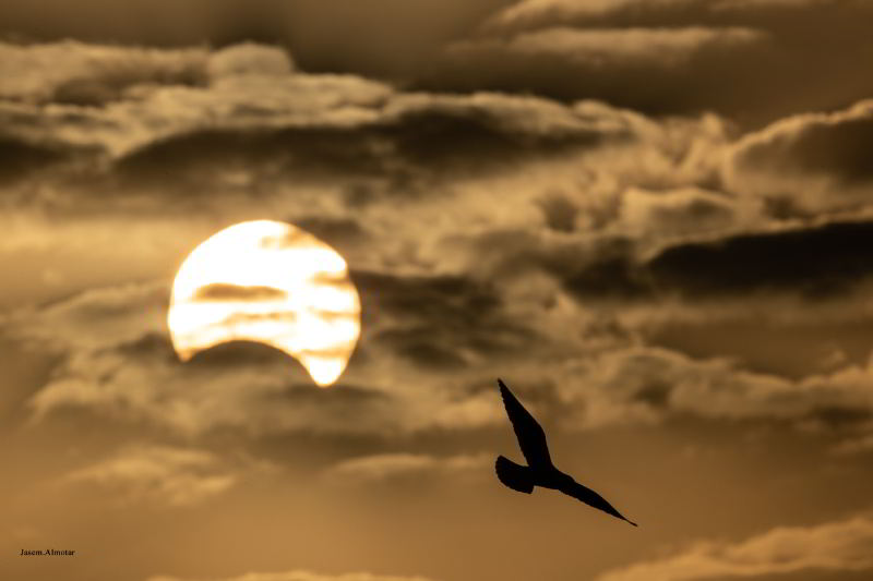 26 Aralık 2019 Güneş Tutulması Fotoğrafları - 9